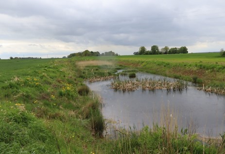 picture wetlands – Dace Strigune BEF Latvia